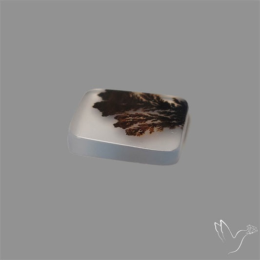 Scenic Agate Cabochon