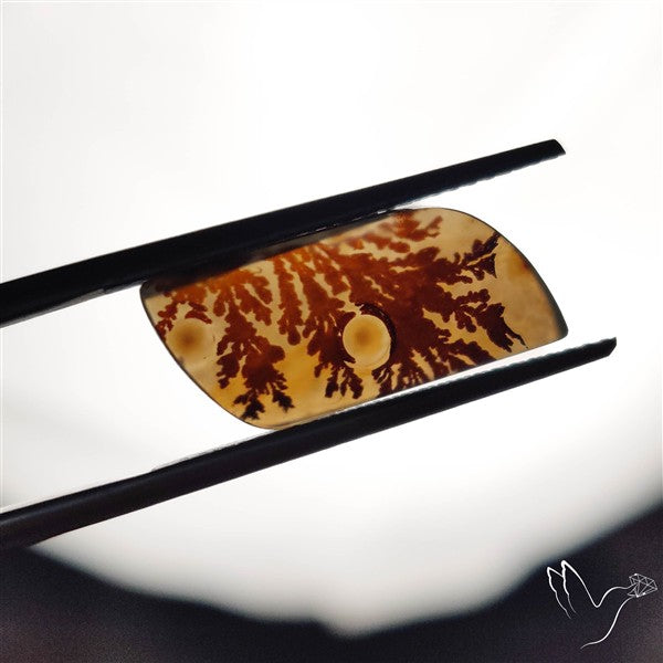 Scenic Agate Cabochon