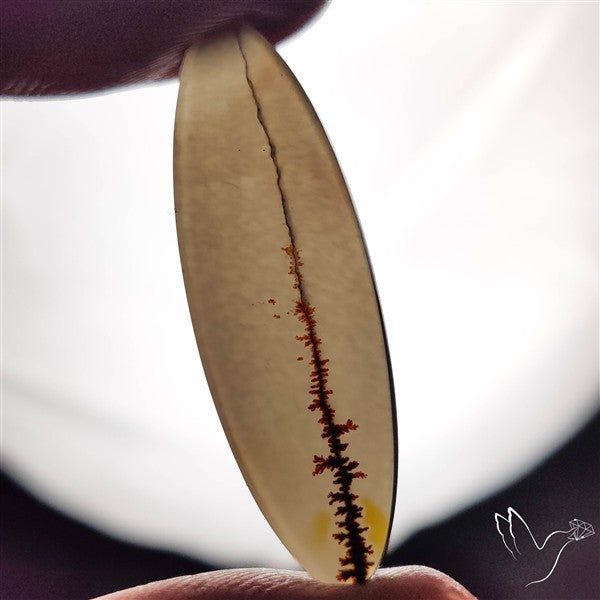 Scenic Agate Cabochon