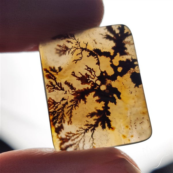 Scenic Agate Cabochon