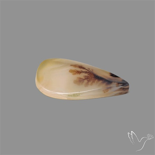 Scenic Agate Cabochon