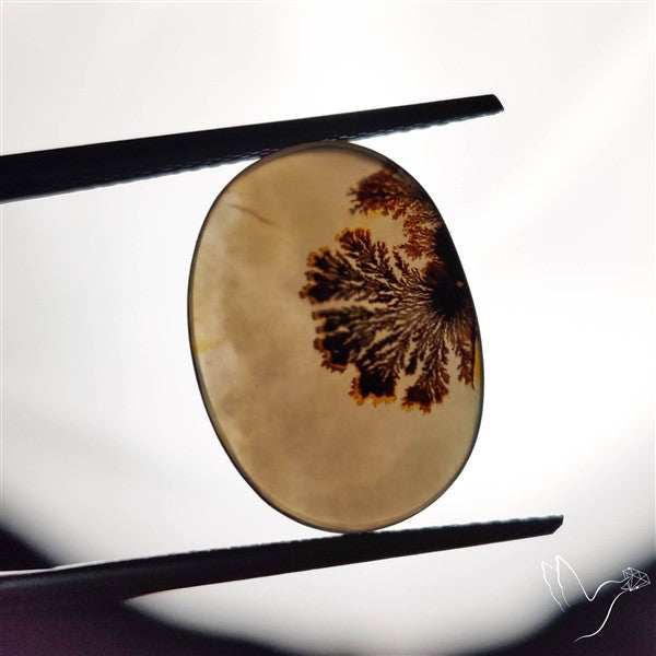 Scenic Agate Cabochon
