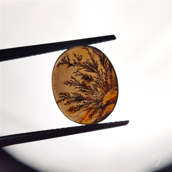 Scenic Agate Cabochon