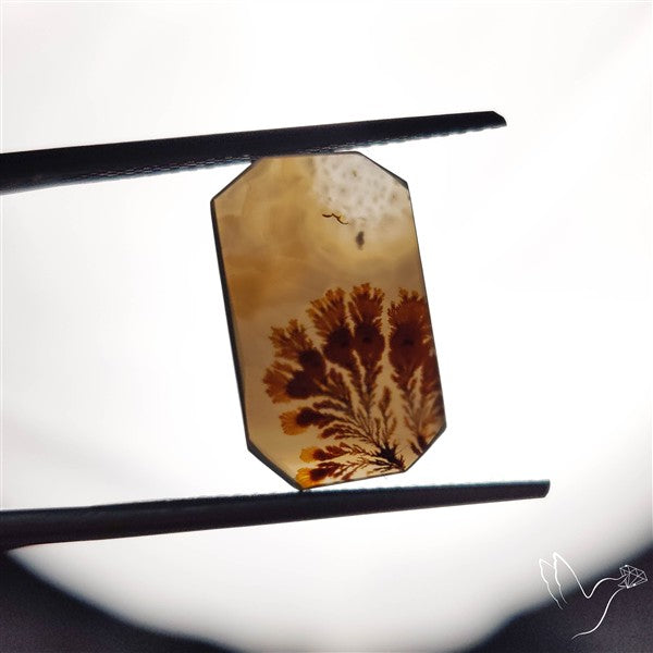 Scenic Agate Cabochon