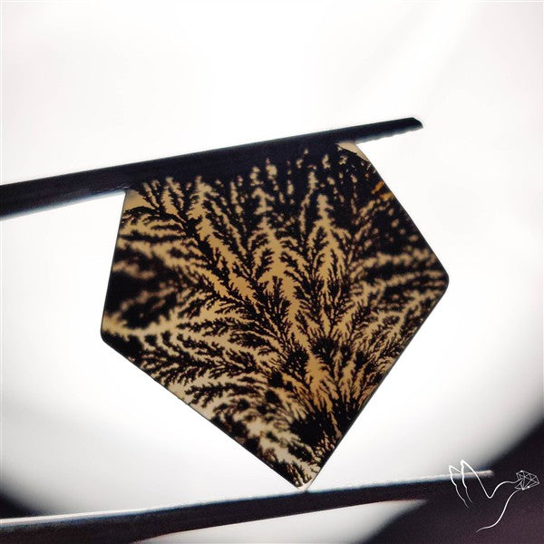 Scenic Agate Cabochon