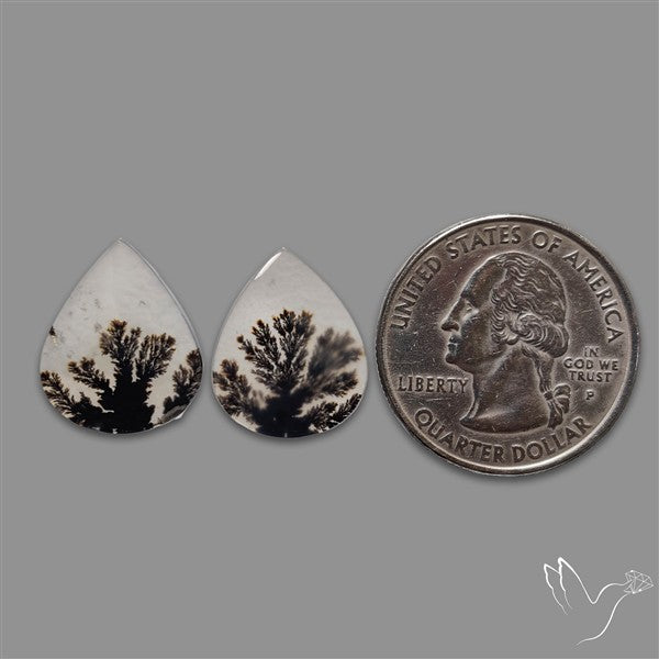 Rare Scenic Agate Pair