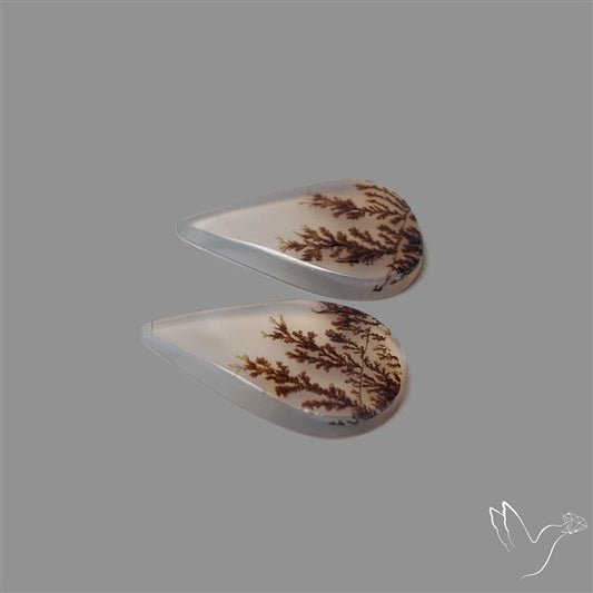 Rare Scenic Agate Pair