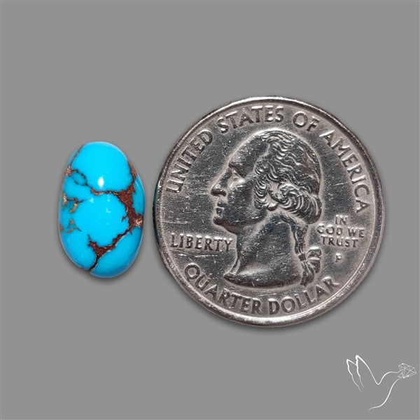 Rare Egyptian Turquoise Cabochon from Sinai Peninsula