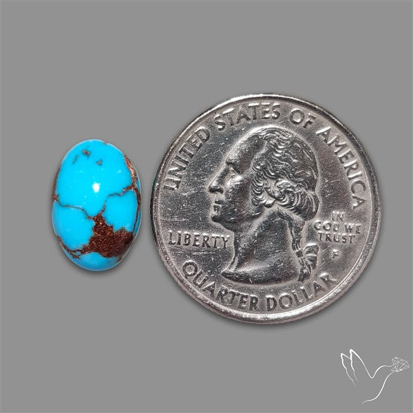 Rare Egyptian Turquoise Cabochon from Sinai Peninsula