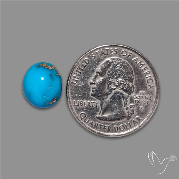 Rare Egyptian Turquoise Cabochon from Sinai Peninsula