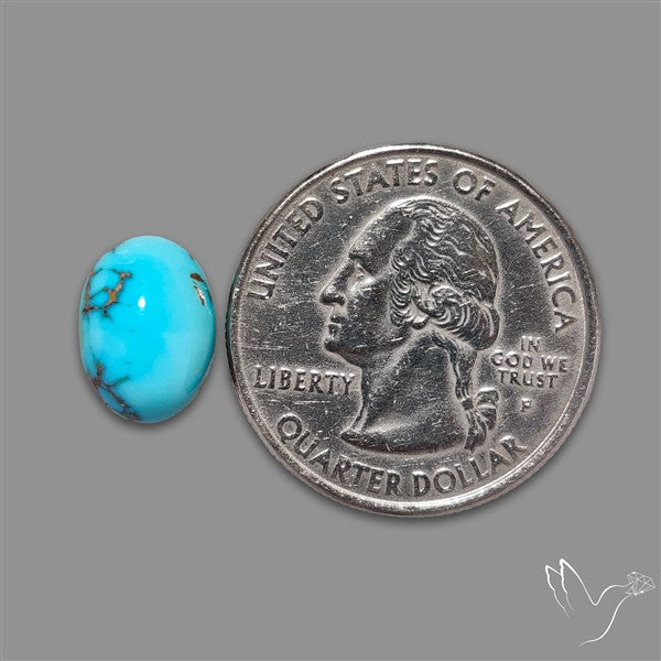 Rare Egyptian Turquoise Cabochon from Sinai Peninsula