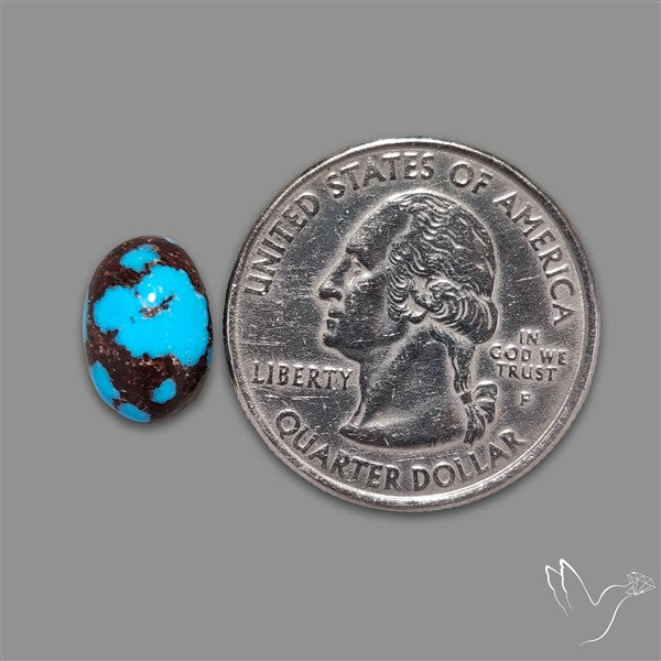 Rare Egyptian Turquoise Cabochon from Sinai Peninsula