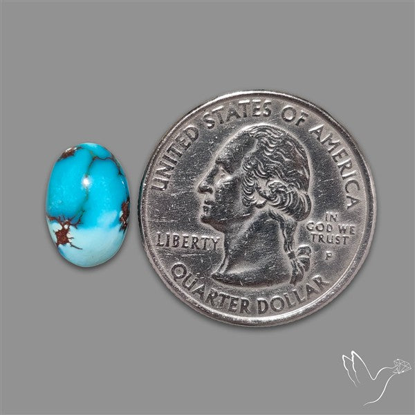 Rare Egyptian Turquoise Cabochon from Sinai Peninsula