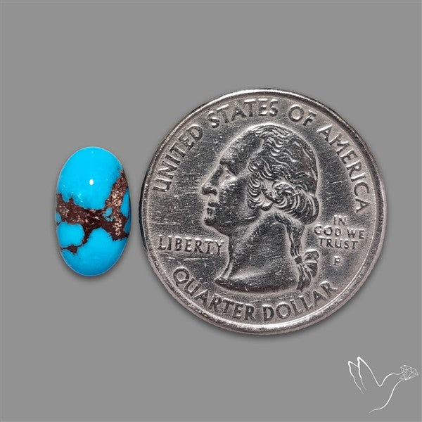 Rare Egyptian Turquoise Cabochon from Sinai Peninsula