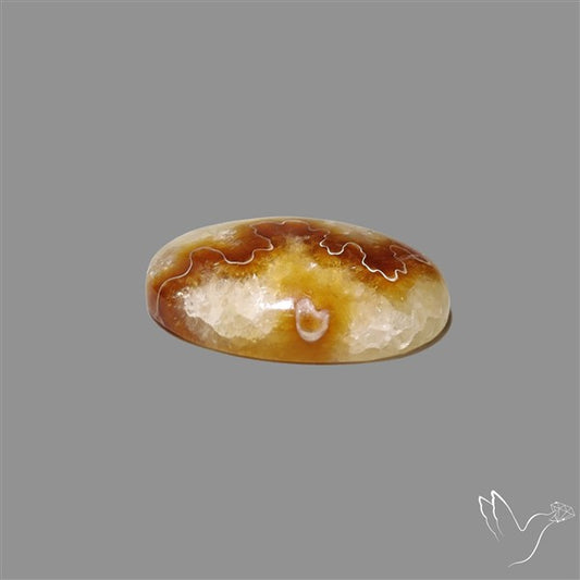 Suture Ammonite Fossil Cabochon rare natural patterns