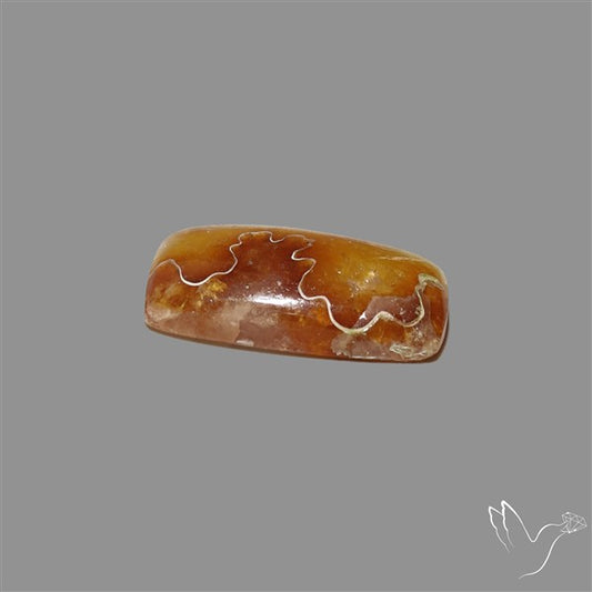 Suture Ammonite Fossil Cabochon rare natural patterns
