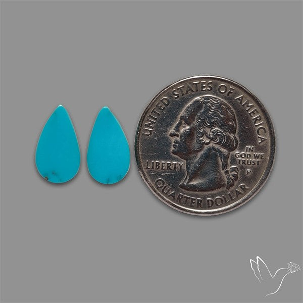 Sleeping Beauty Turquoise Pair
