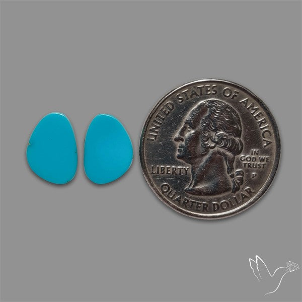Sleeping Beauty Turquoise Pair