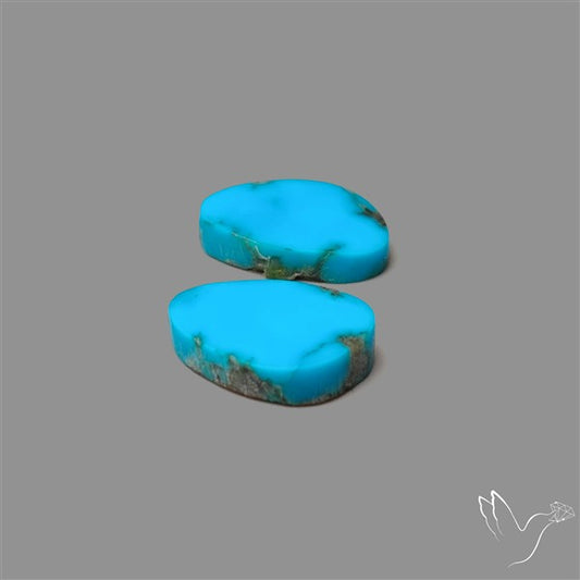 Sleeping Beauty Turquoise Pair