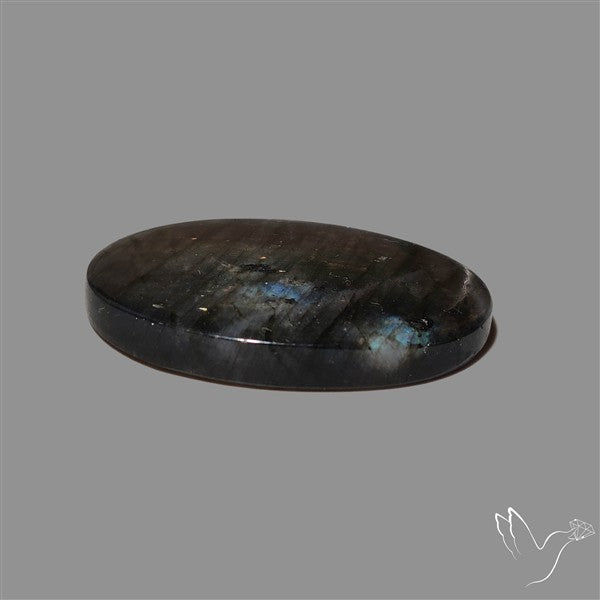 Bi-color Finland Spectrolite Cabochon