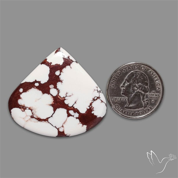 Wild Horse Jasper Cabochon