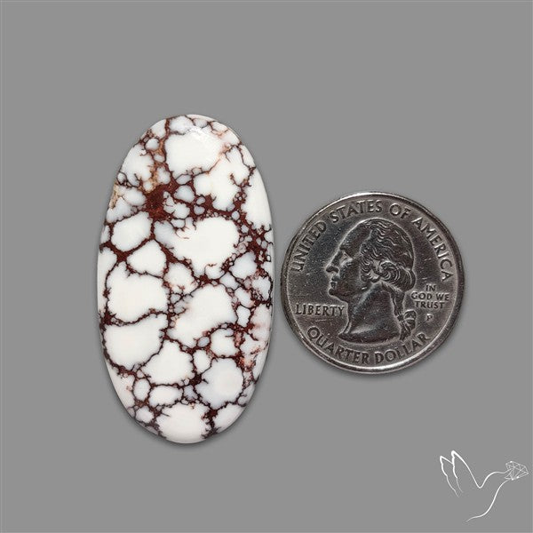 Wild Horse Jasper Cabochon