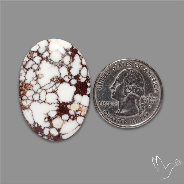 Wild Horse Jasper Cabochon