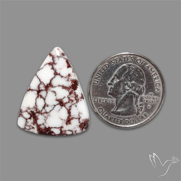 Wild Horse Jasper Cabochon