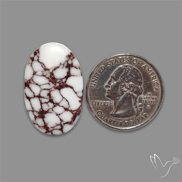 Wild Horse Jasper Cabochon
