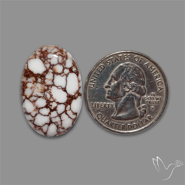 Wild Horse Jasper Cabochon