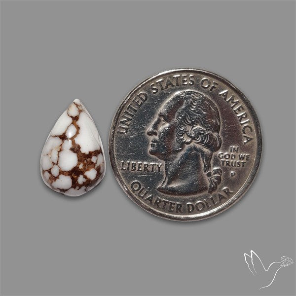 Wild Horse Jasper Cabochon