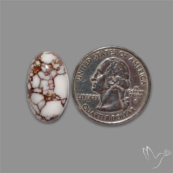 Wild Horse Jasper Cabochon