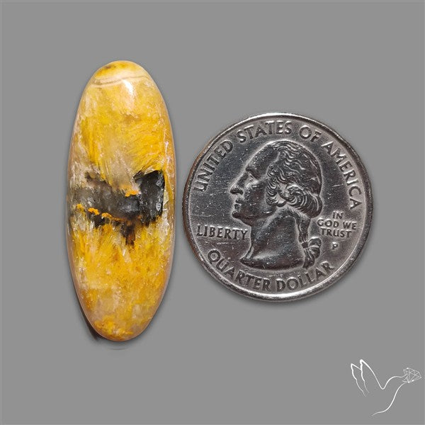 Bumble Bee Jasper Cabochon