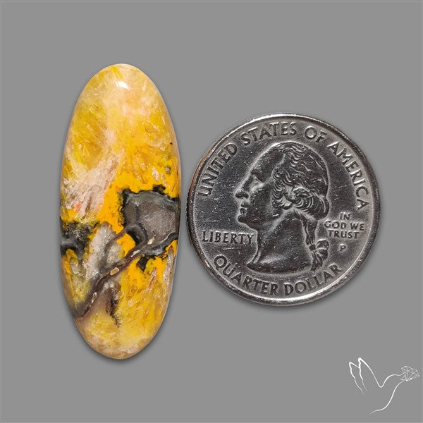 Bumble Bee Jasper Cabochon