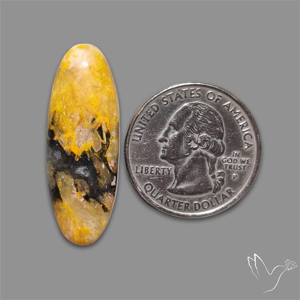 Bumble Bee Jasper Cabochon