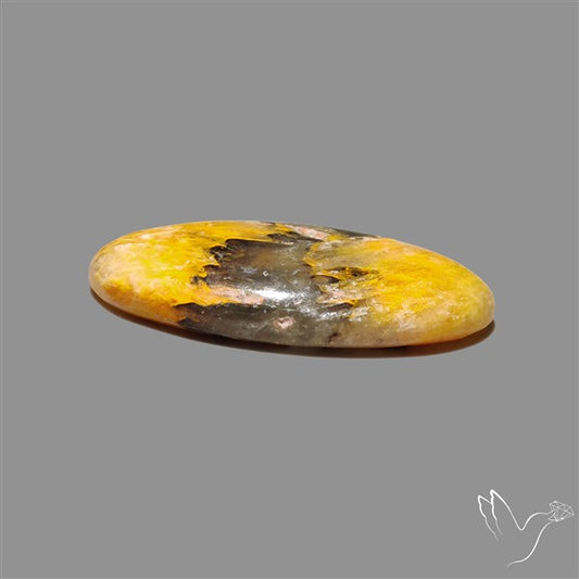 Bumble Bee Jasper Cabochon