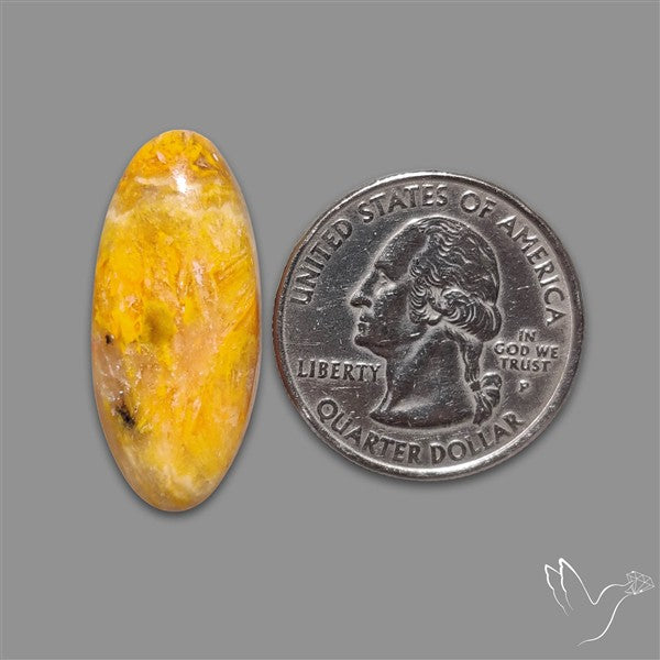 Bumble Bee Jasper Cabochon