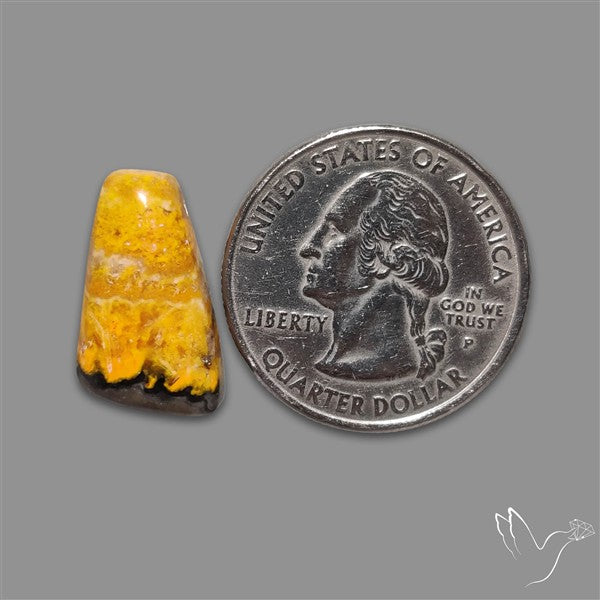 Bumble Bee Jasper Cabochon