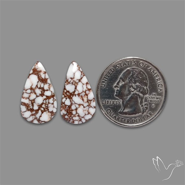 Wild Horse Jasper Pair
