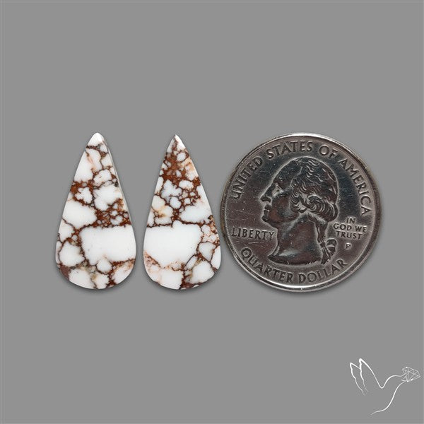 Wild Horse Jasper Pair