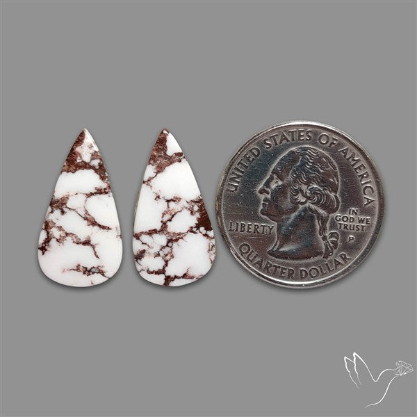Wild Horse Jasper Pair