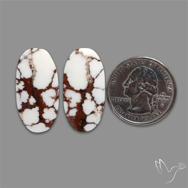Wild Horse Jasper Pair