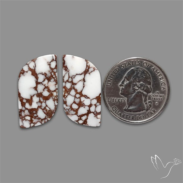 Wild Horse Jasper Pair