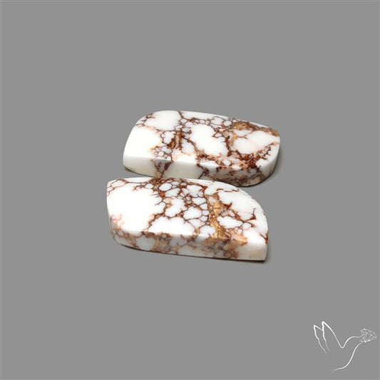 Wild Horse Jasper Pair