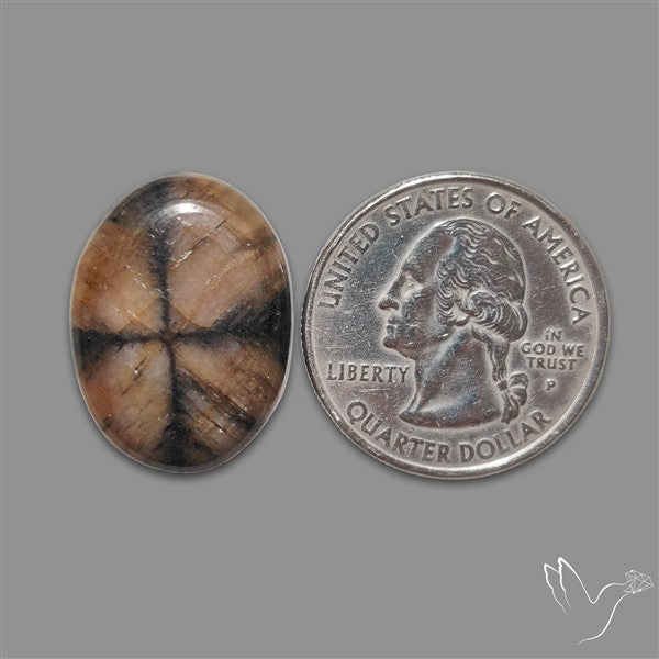 Chiastolite Cross Stone Cabochon