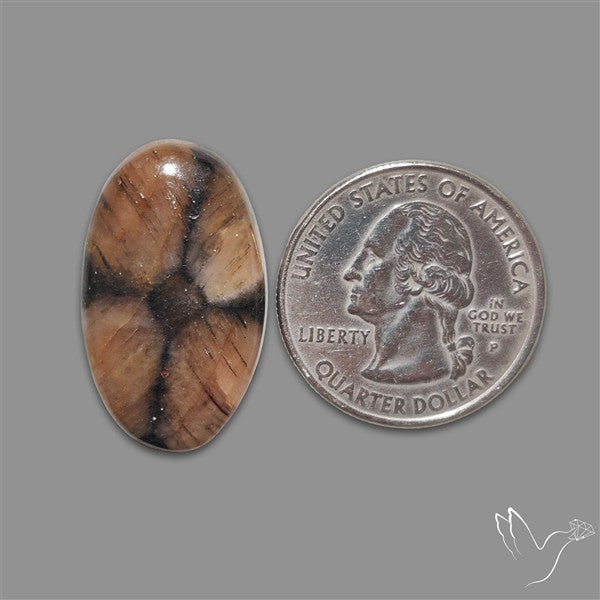 Chiastolite Cross Stone Cabochon