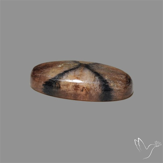Chiastolite Cross Stone Cabochon