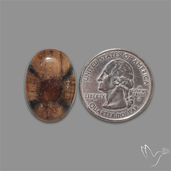 Chiastolite Cross Stone Cabochon