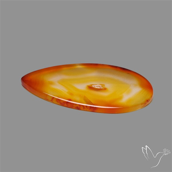 Gemmy Montana Agate Flat Slice Cabochon