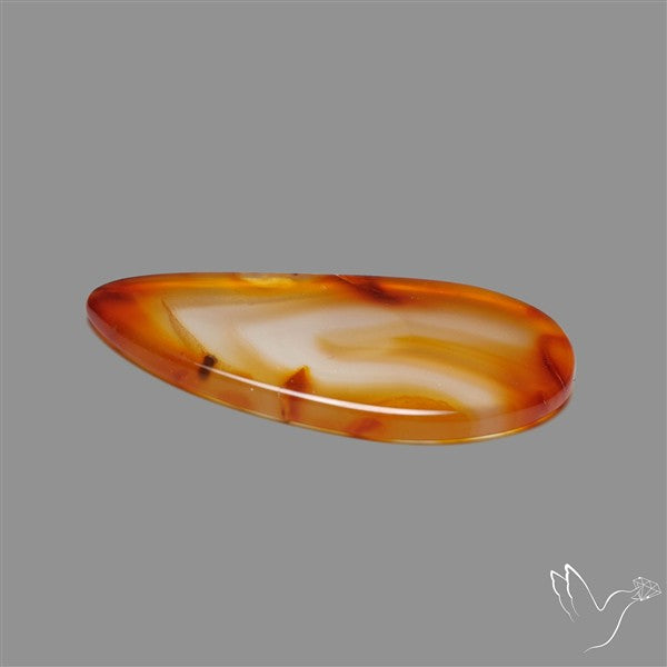 Gemmy Montana Agate Flat Slice Cabochon